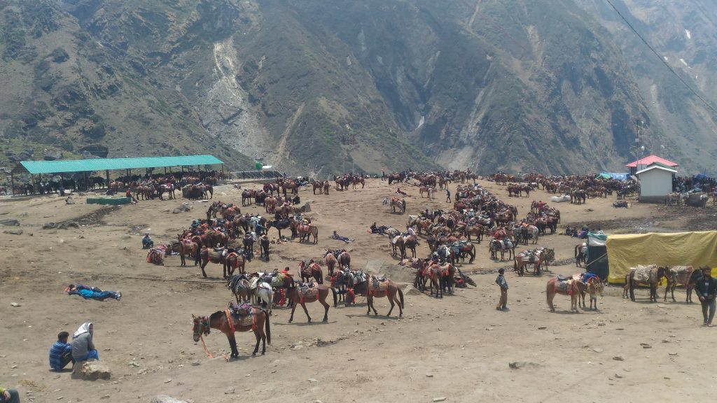 Prateek as a traveller, CC BY-SA 4.0 <https://creativecommons.org/licenses/by-sa/4.0>, via Wikimedia Commons - Kedarnath